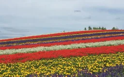 Hokkaido travel inspiration