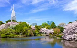 Tokyo travel inspiration